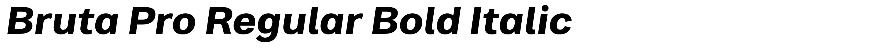 Bruta Pro Regular Bold Italic